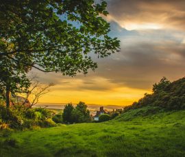 Golden sunset over a grassy countryside countryside sunset foogallery sample image 4
